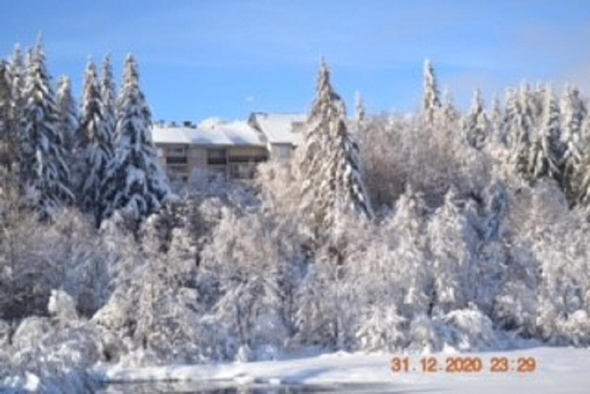 Appartement Lo Vedelièr d'AUBRAC à Laguiole Extérieur photo