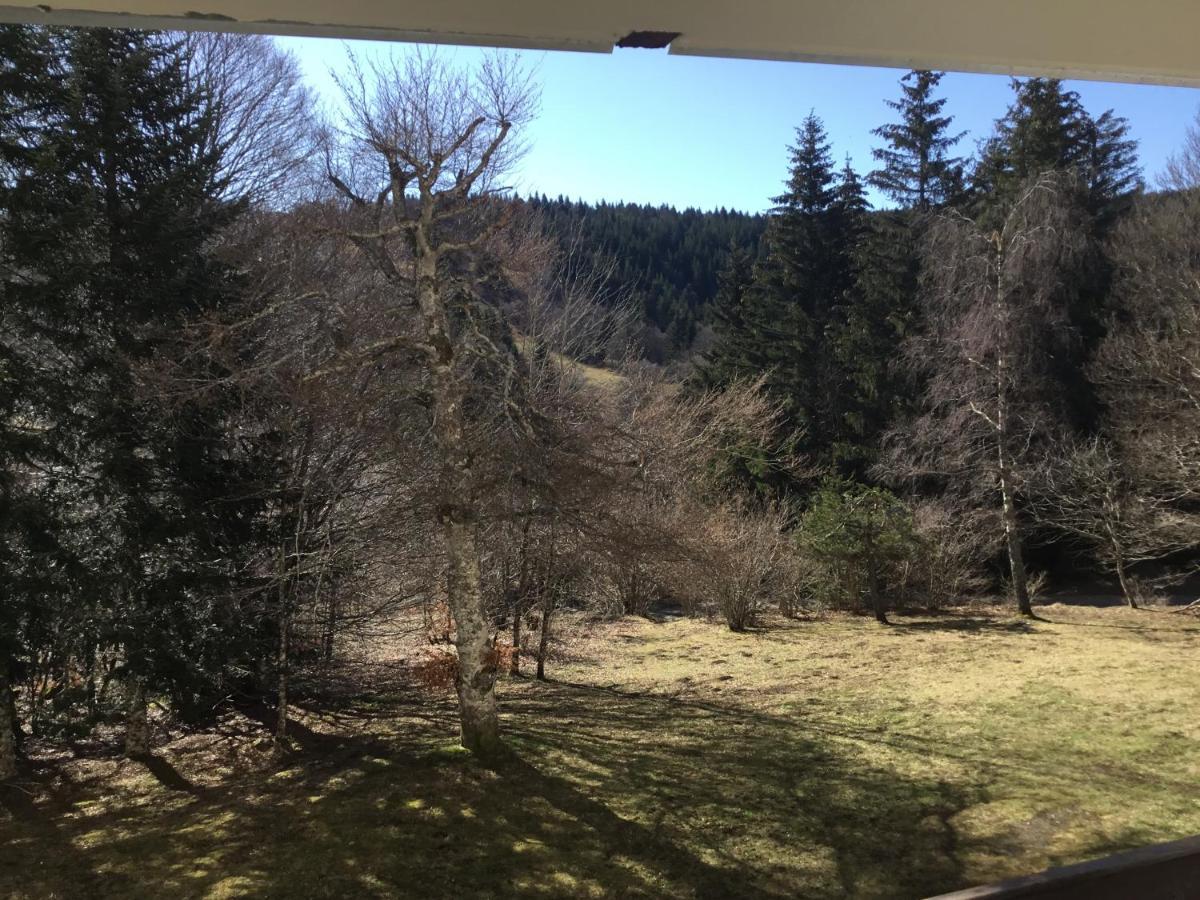 Appartement Lo Vedelièr d'AUBRAC à Laguiole Extérieur photo