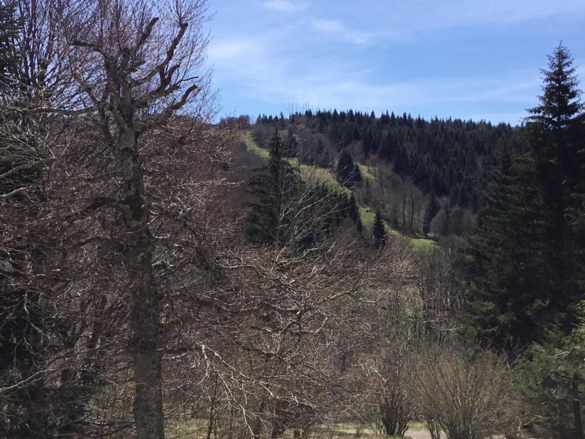 Appartement Lo Vedelièr d'AUBRAC à Laguiole Extérieur photo