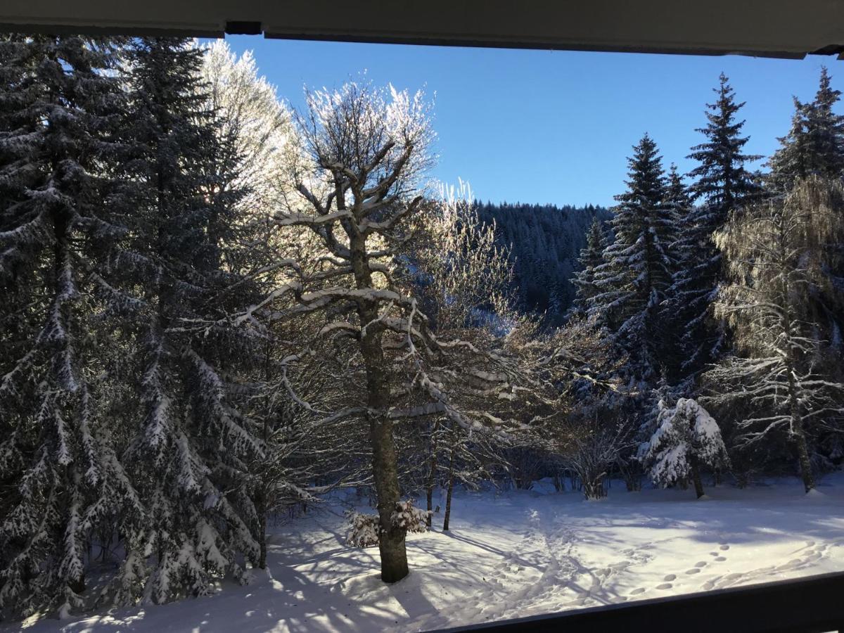 Appartement Lo Vedelièr d'AUBRAC à Laguiole Extérieur photo