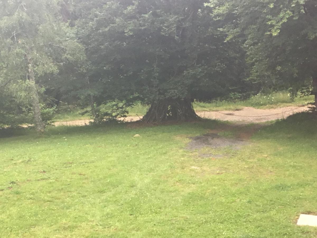 Appartement Lo Vedelièr d'AUBRAC à Laguiole Extérieur photo